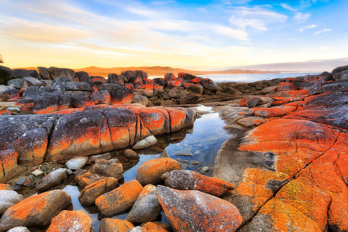 Why Buying Tasmanian Matters, and How Ernie’s Bites Does it Right