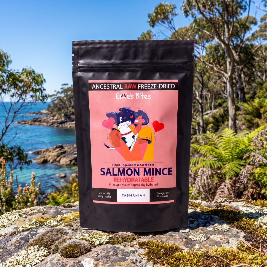 100% Salmon Mince