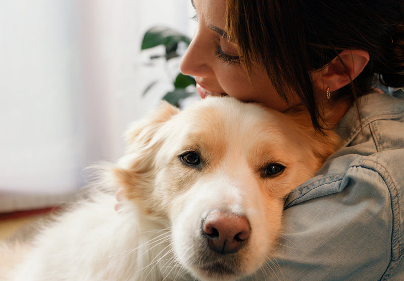 Caring for Sick, Juvenile & Senior Pets - How Freeze-Dried Can Help